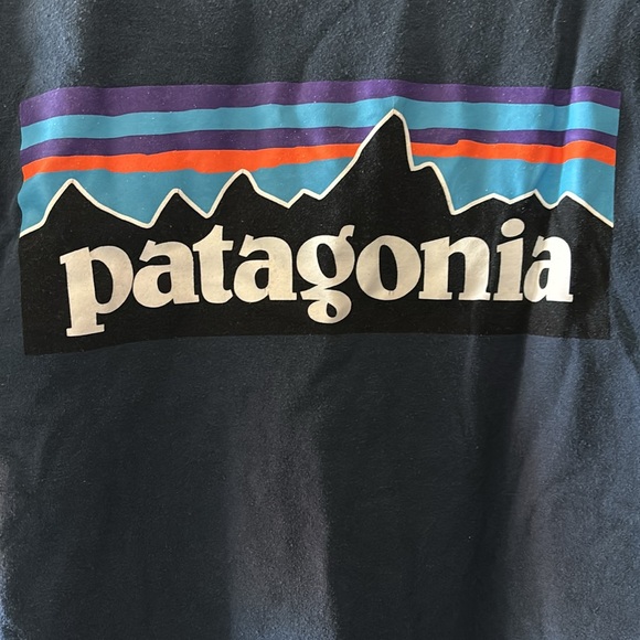 Patagonia Men's P-6 Logo Responsibili-Tee - Picture 5 of 7
